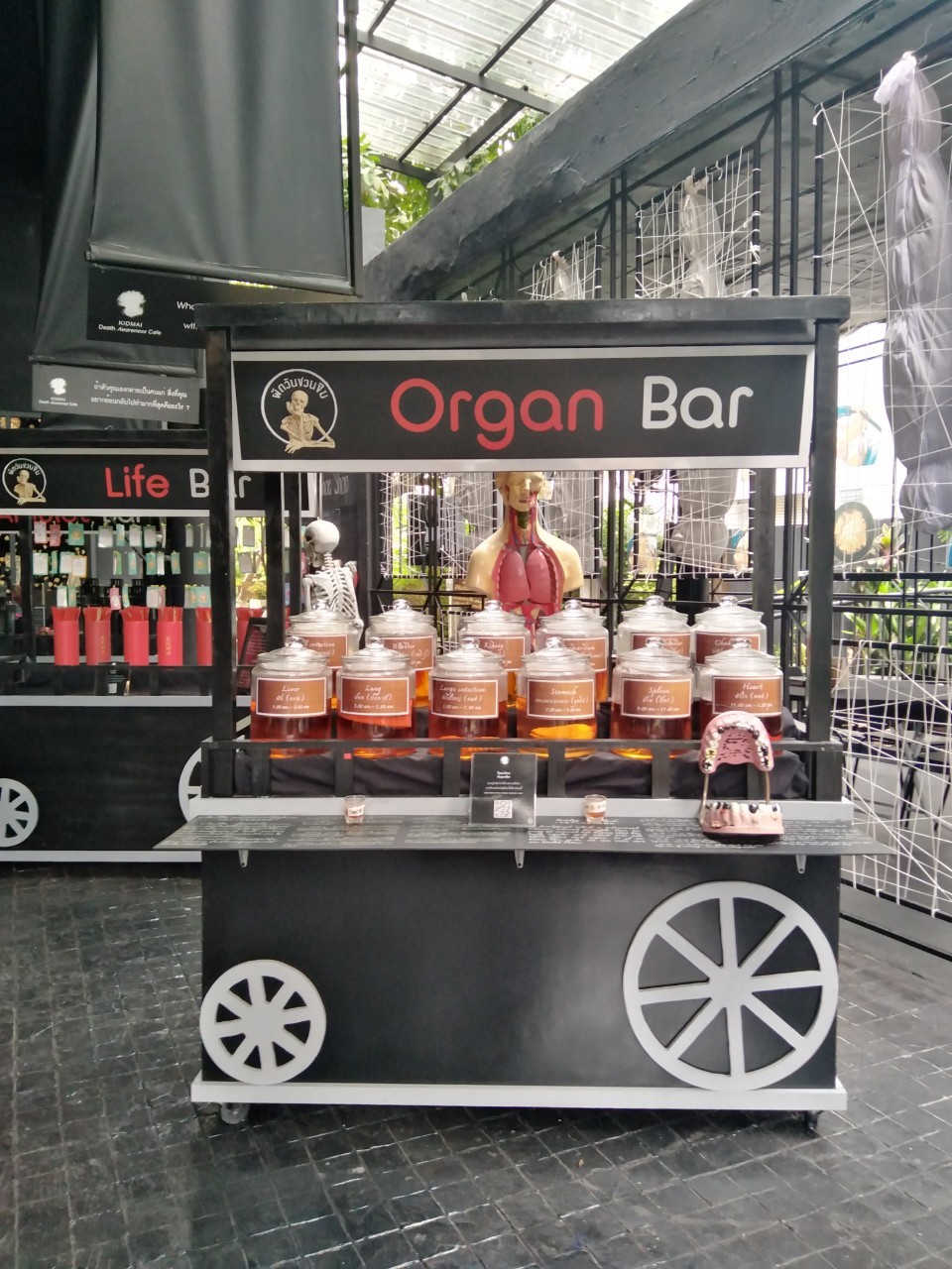 ยาดอง Organ Bar